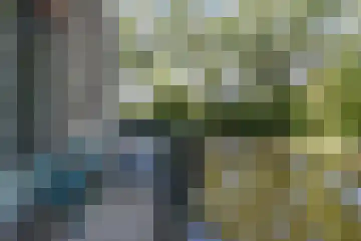 Waterloop 40 Delft thumbnail 17