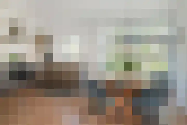 Waterloop 40 Delft thumbnail 25