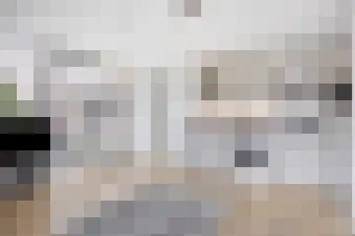 Waterloop 40 Delft foto 3