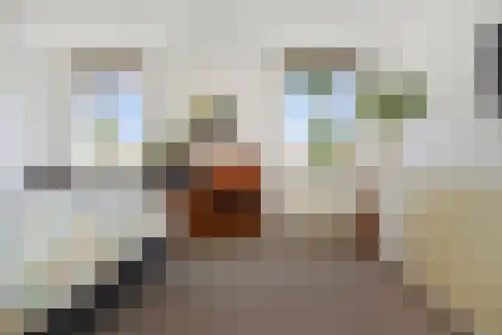 Waterloop 40 Delft thumbnail 36