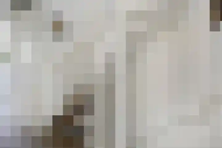 Waterloop 40 Delft thumbnail 44