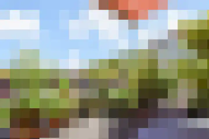 Waterloop 40 Delft thumbnail 5