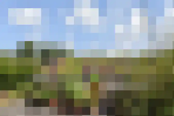 Waterloop 40 Delft thumbnail 56