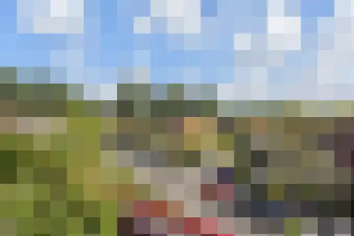 Waterloop 40 Delft thumbnail 57