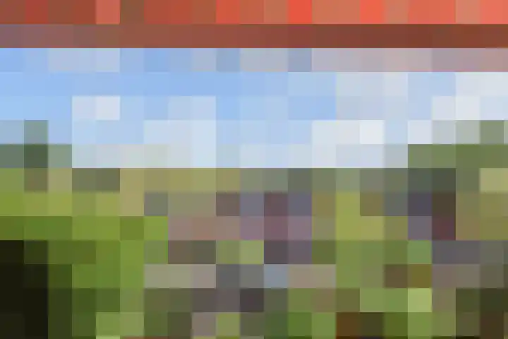 Waterloop 40 Delft thumbnail 60