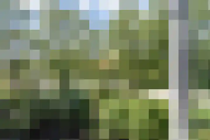 Waterloop 40 Delft thumbnail 61