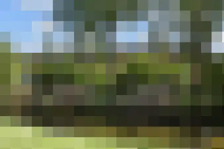 Waterloop 40 Delft thumbnail 62