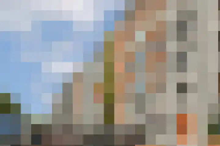 Waterlooplein 153 Amsterdam thumbnail 19