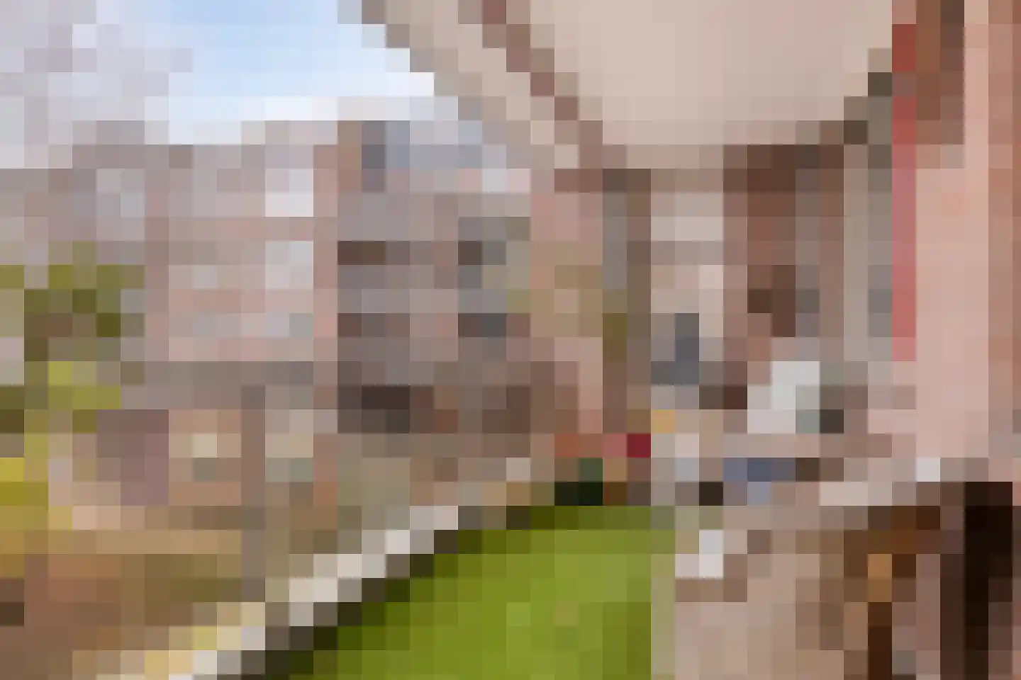 Waterlooplein 208 Oosterhout thumbnail 13
