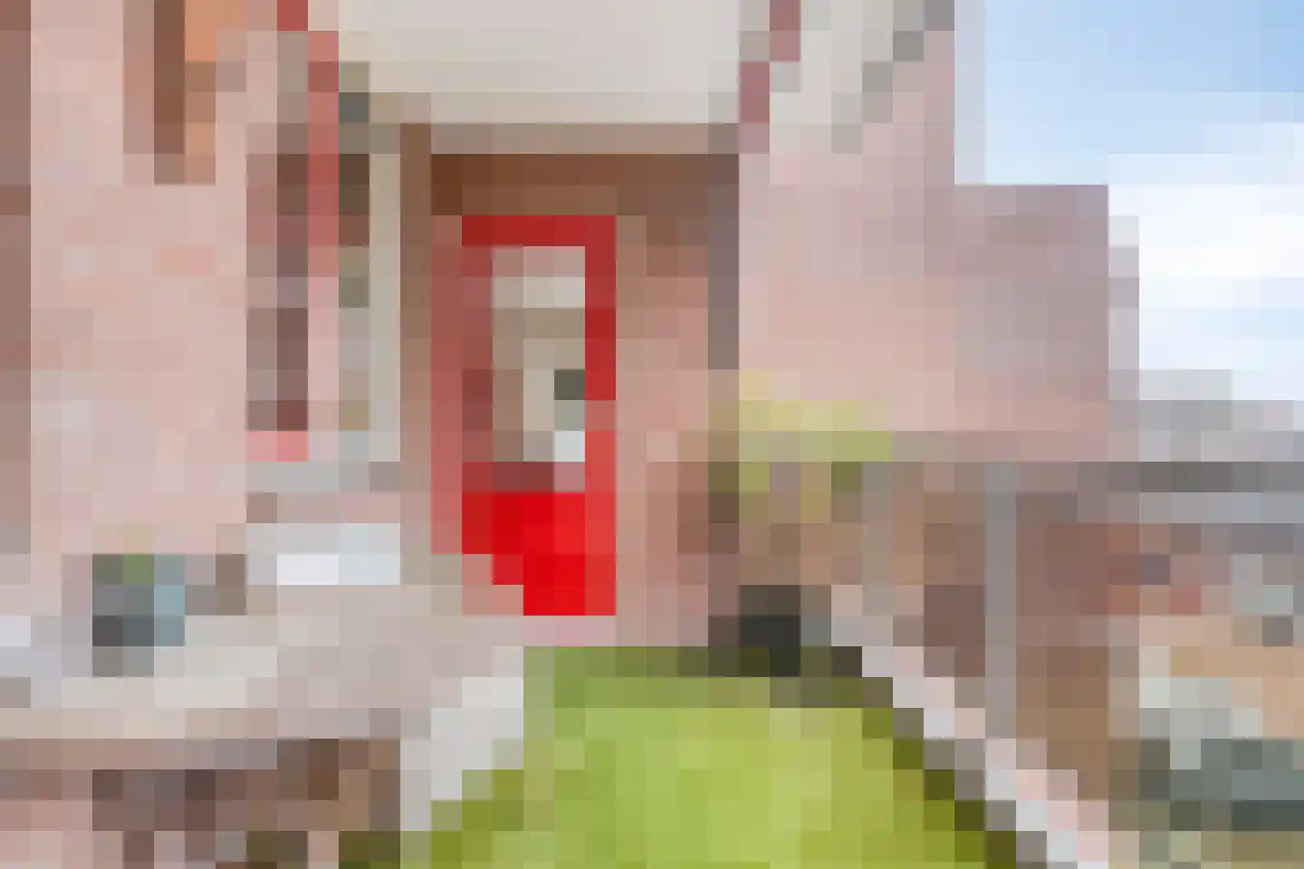 Waterlooplein 208 Oosterhout thumbnail 14