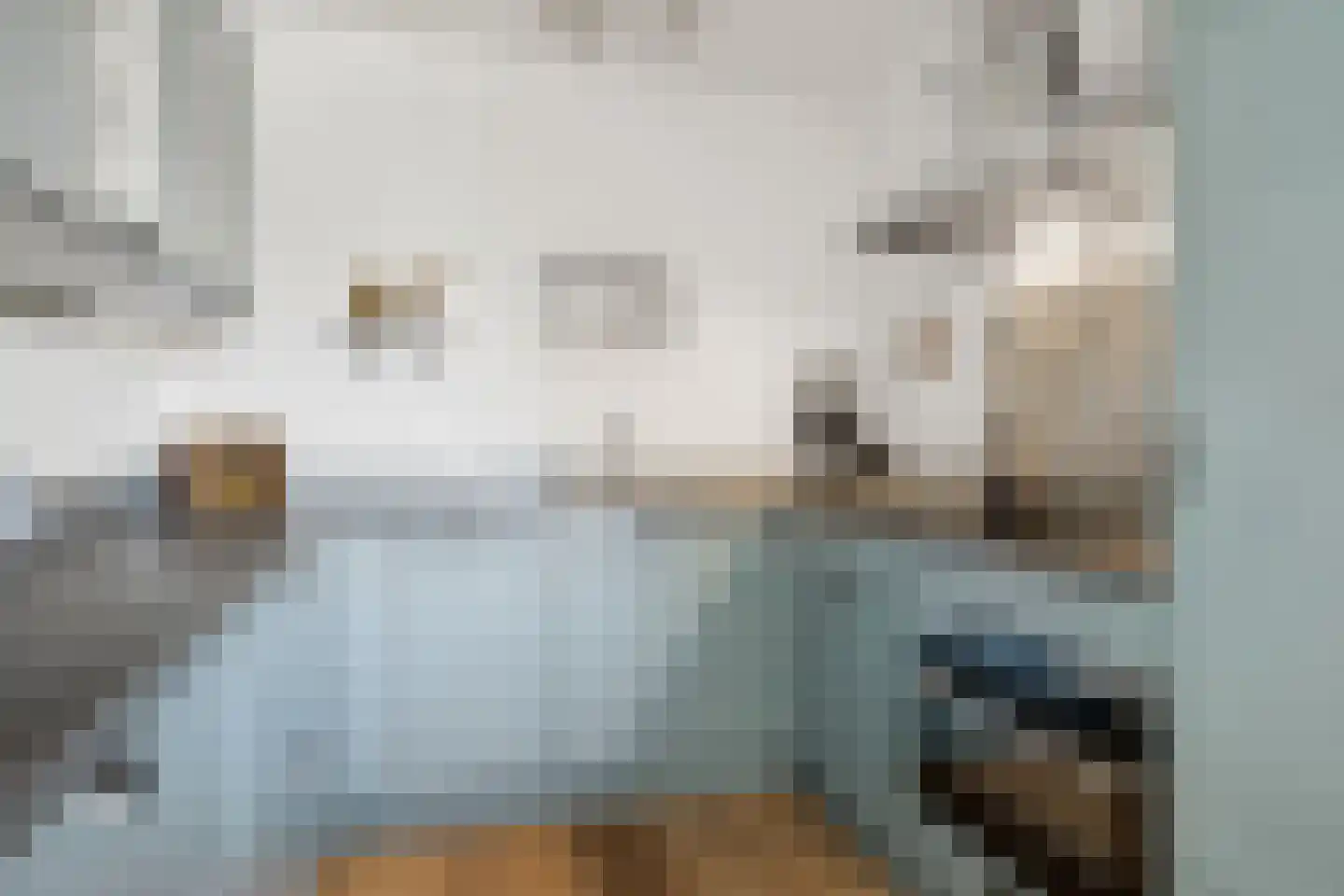 Waterlooplein 215 Oosterhout thumbnail 14