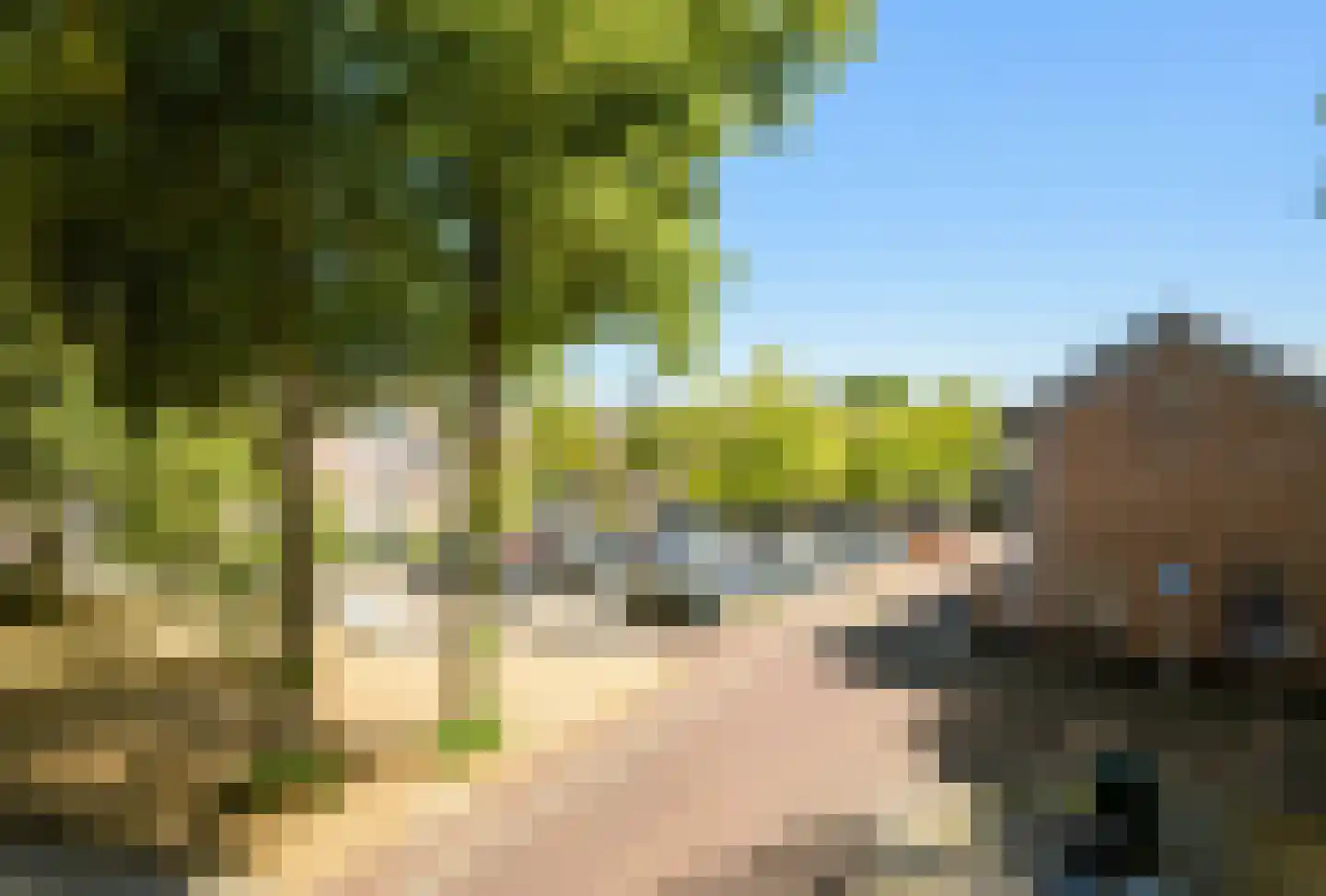 Waterlooplein 215 Oosterhout thumbnail 19