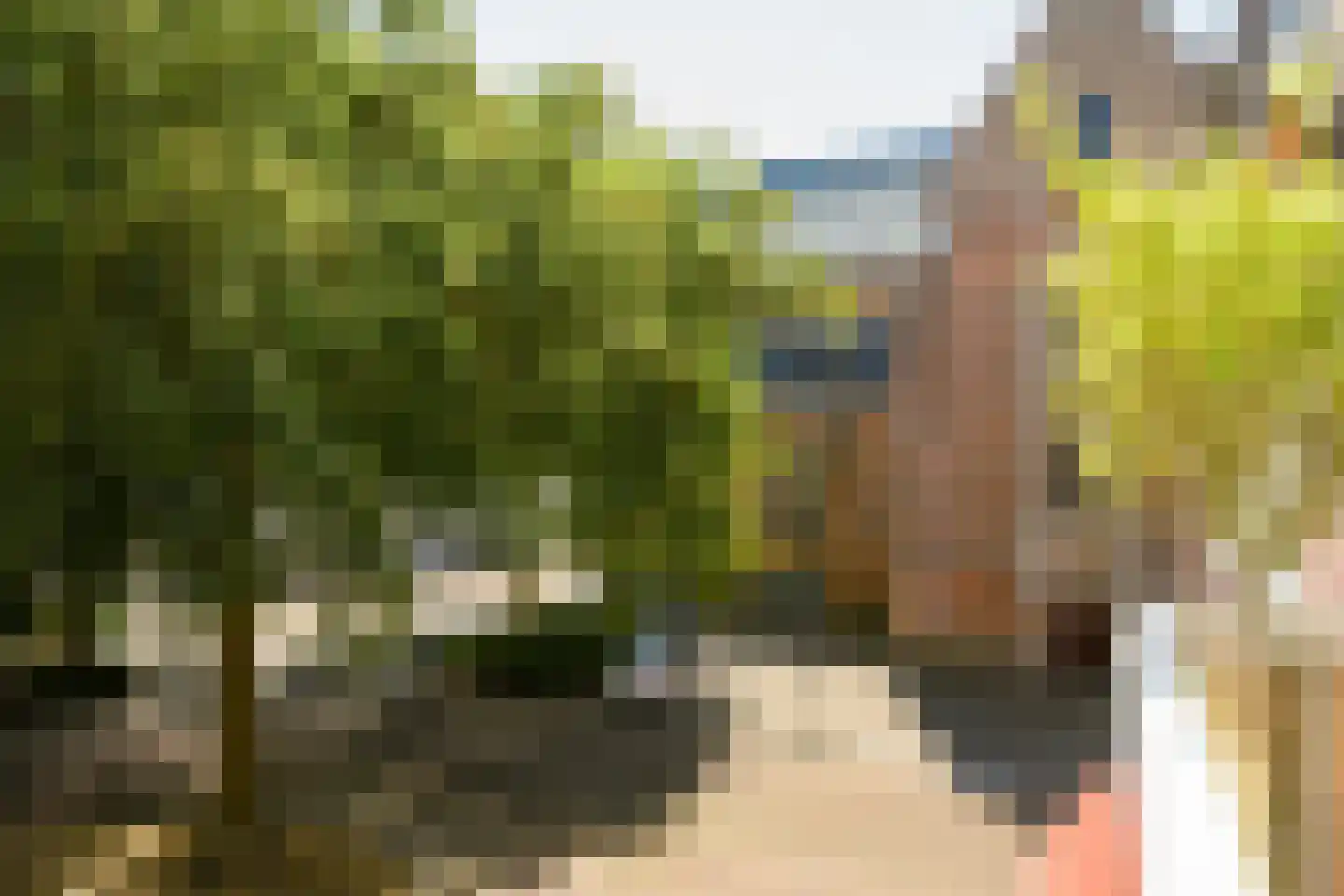 Waterlooplein 215 Oosterhout thumbnail 20