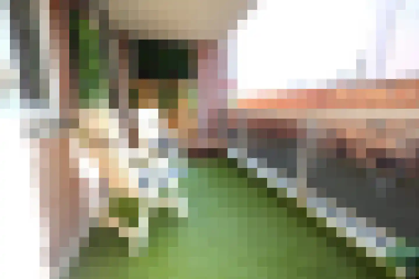 Waterlooplein 222 Oosterhout thumbnail 11