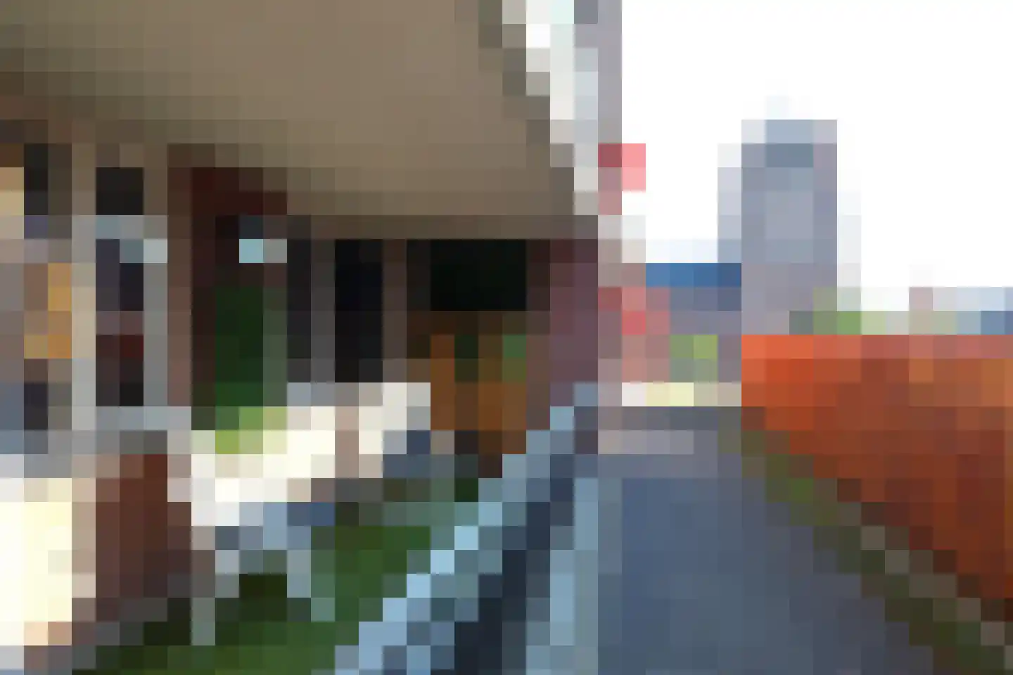 Waterlooplein 222 Oosterhout thumbnail 13