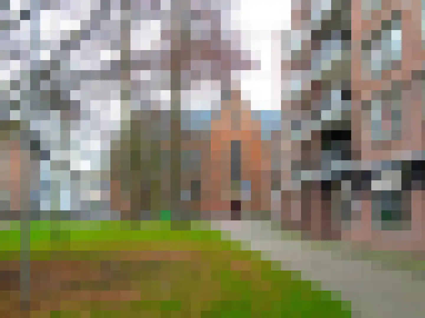 Waterlooplein 222 Oosterhout thumbnail 25