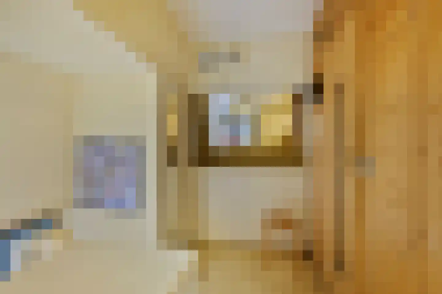 Waterlooplein 343 G Amsterdam thumbnail 15