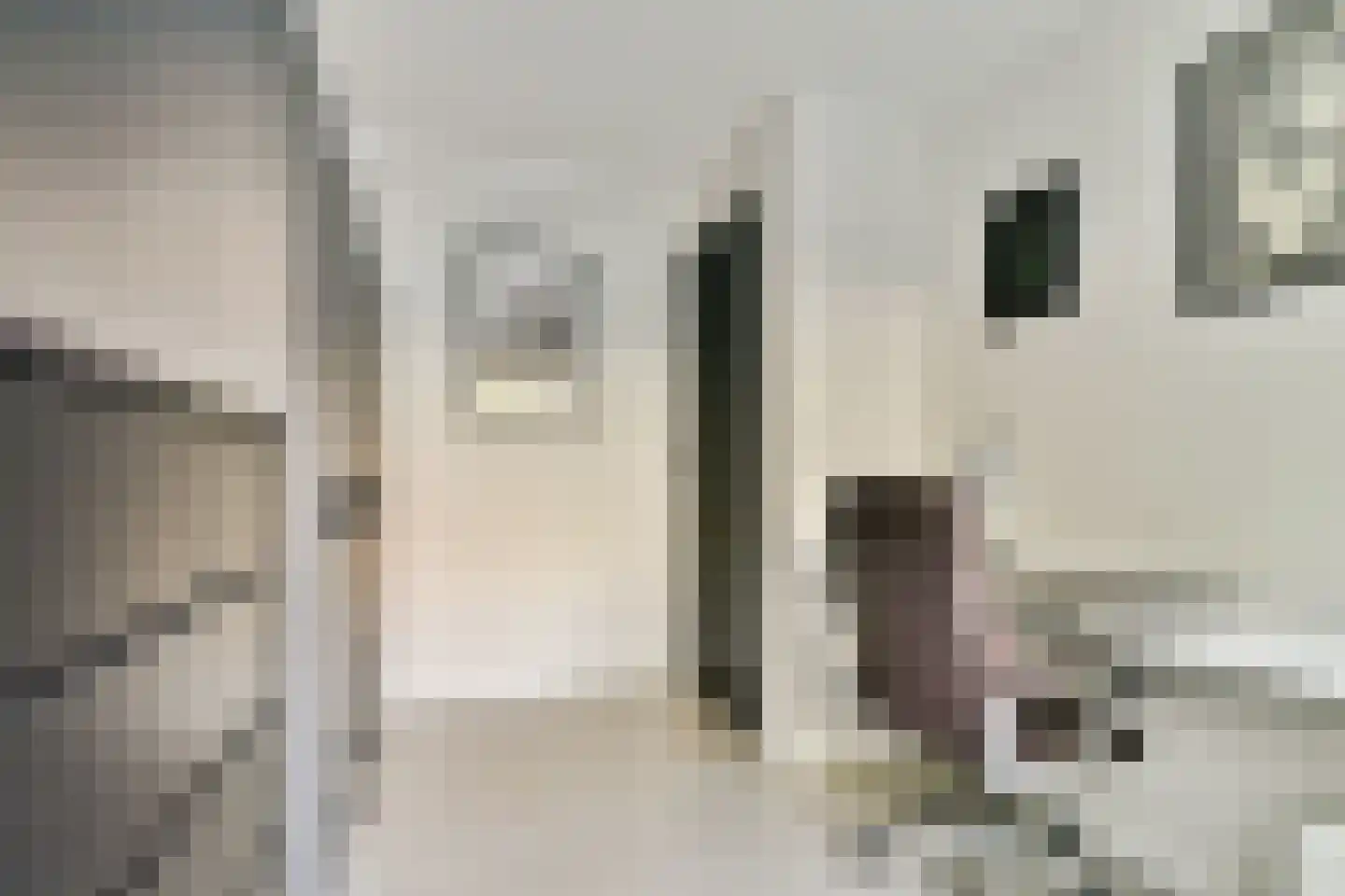 Waterloostraat 123 B Rotterdam thumbnail 15