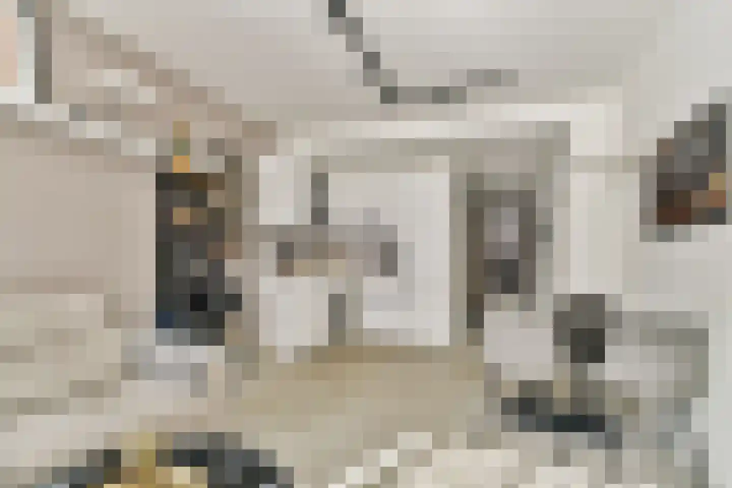 Waterloostraat 123 B Rotterdam thumbnail 7