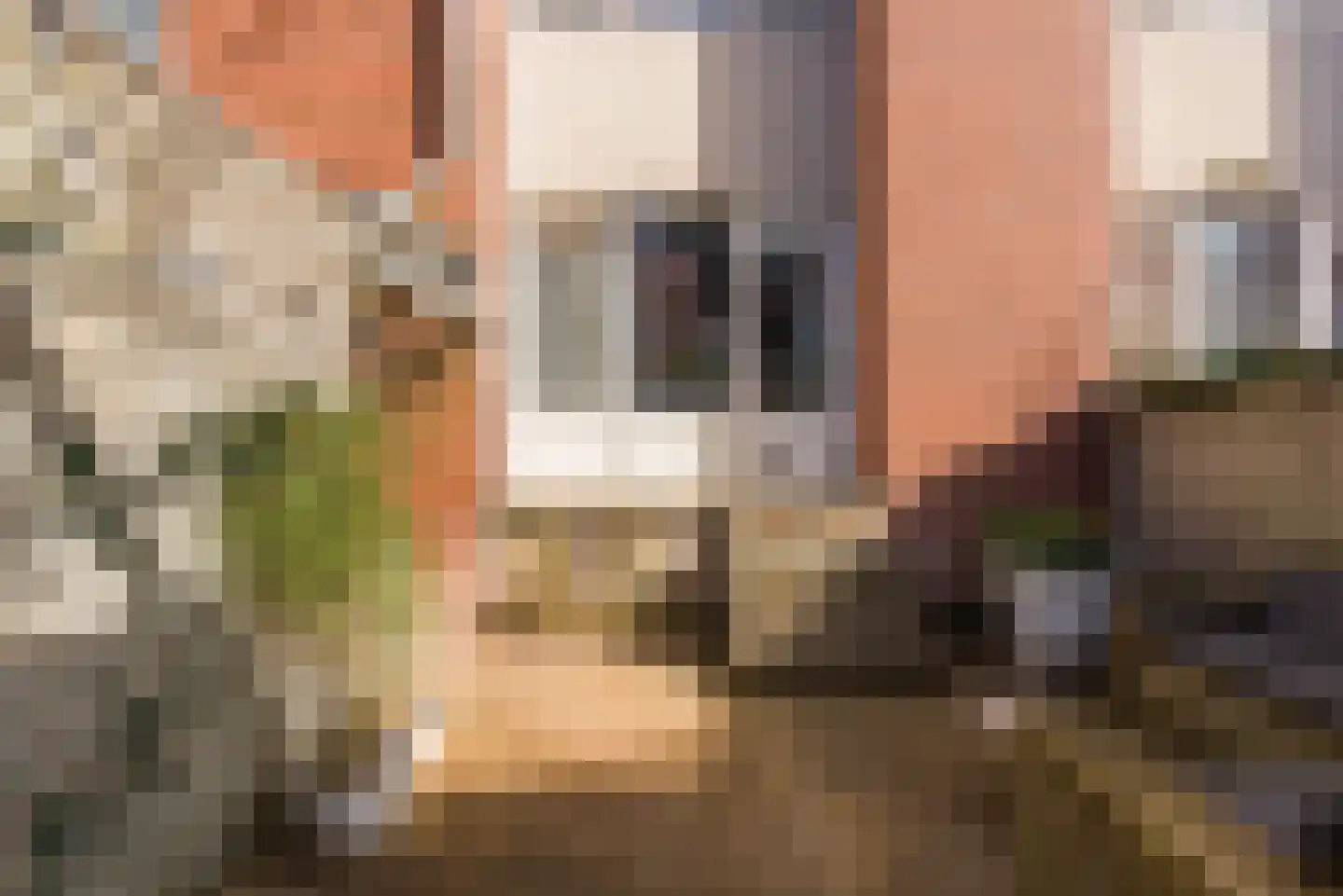 Waterloostraat 187 Rotterdam thumbnail 19