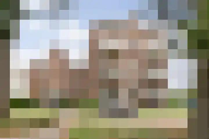 Waterloostraat 192 Steyl thumbnail 4