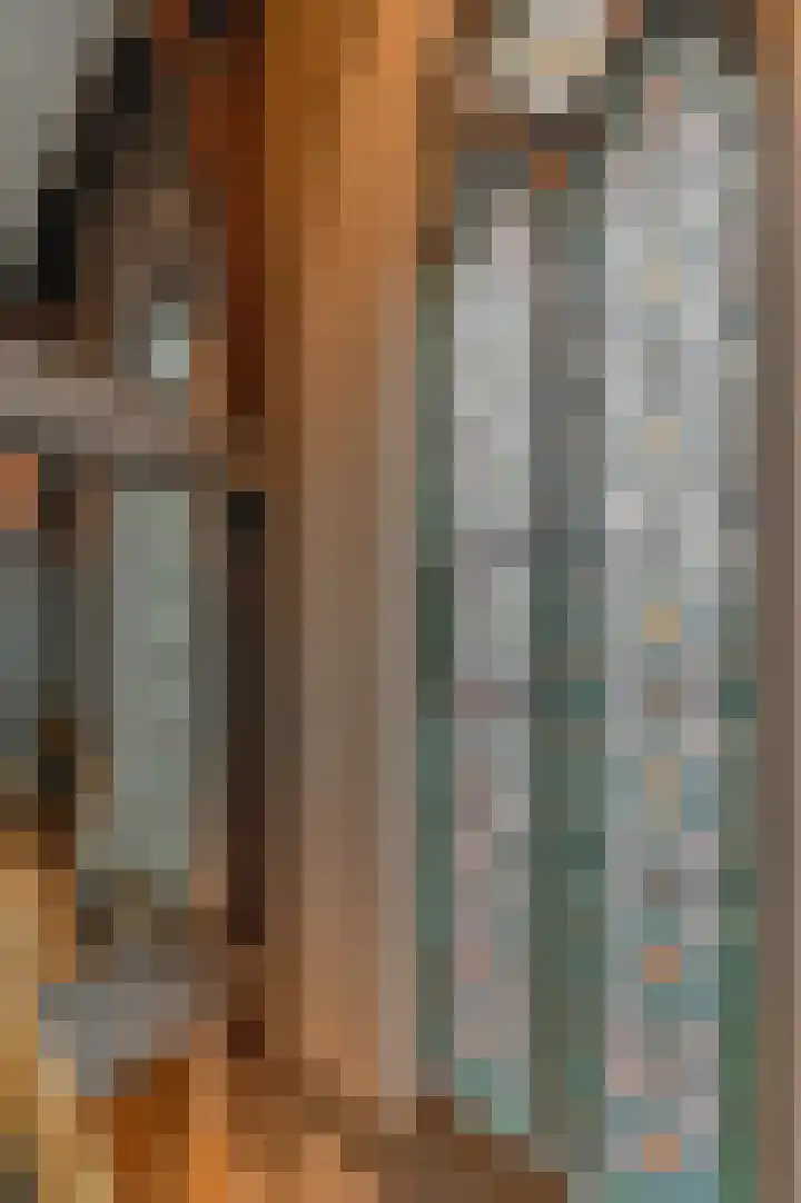 Waterloostraat 192 Steyl thumbnail 6