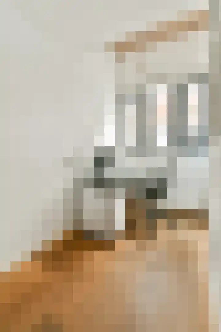 Waterloostraat 195 Rotterdam thumbnail 9