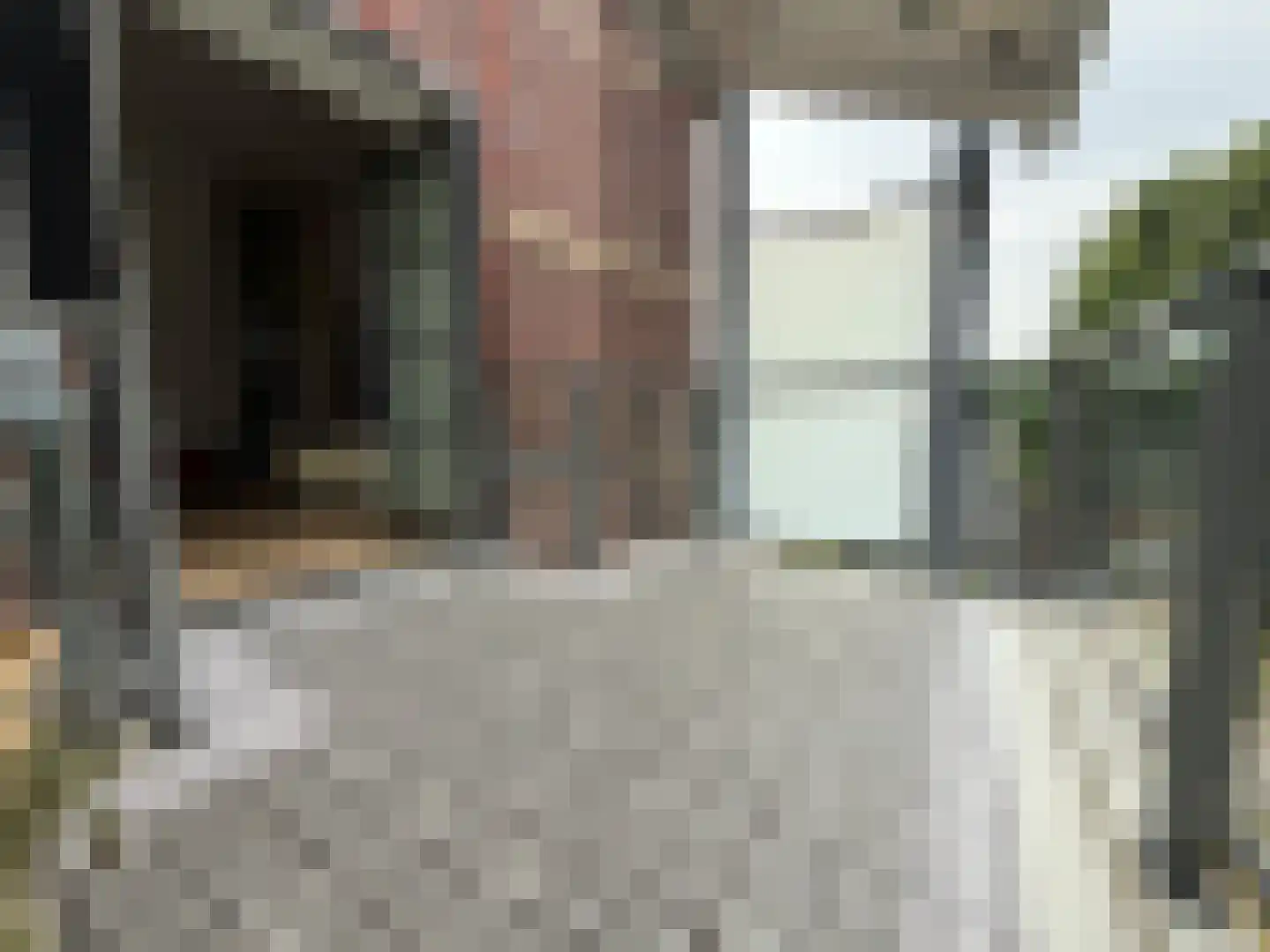 Waterloostraat 208 Steyl thumbnail 13