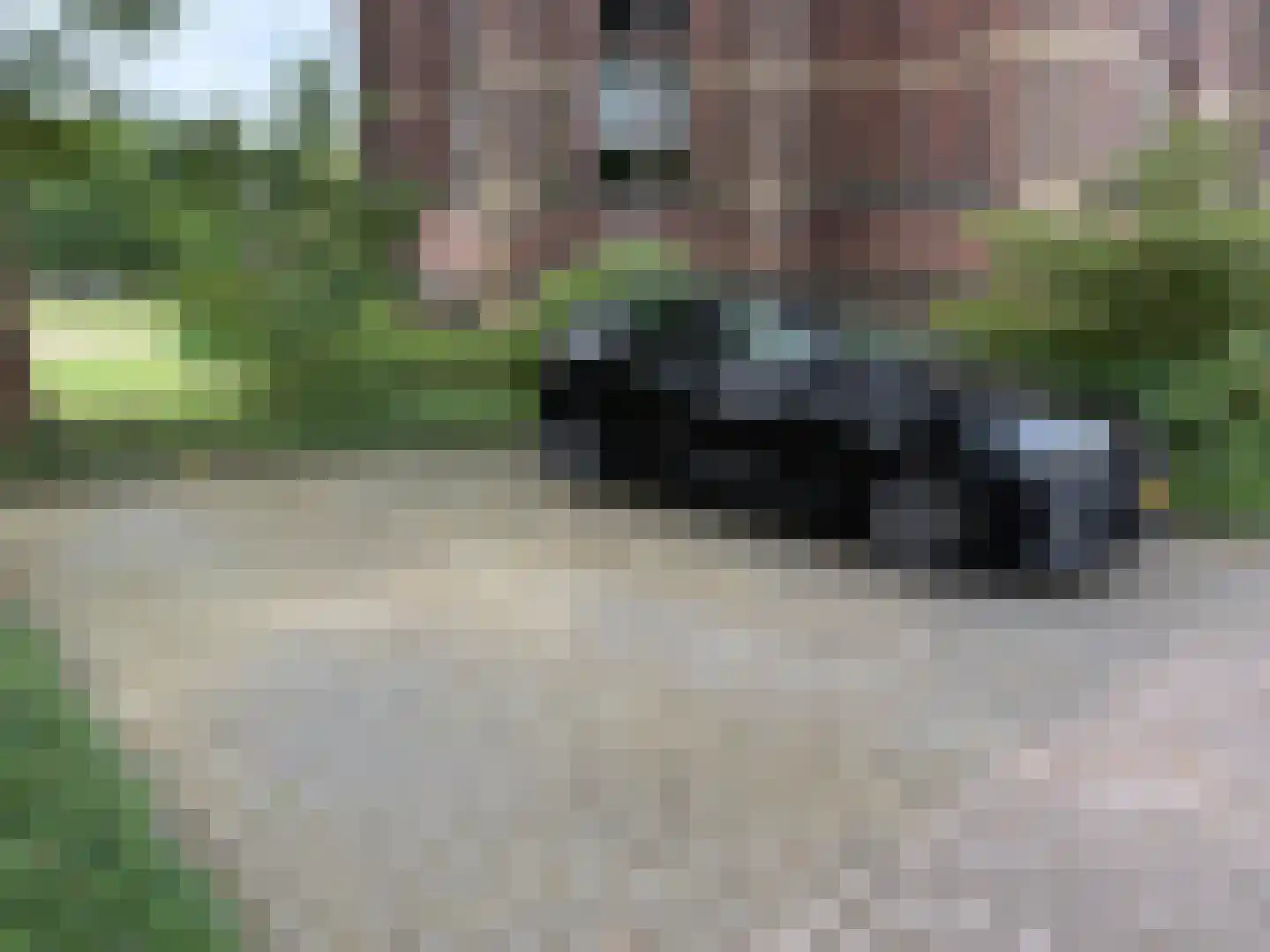 Waterloostraat 208 Steyl thumbnail 26