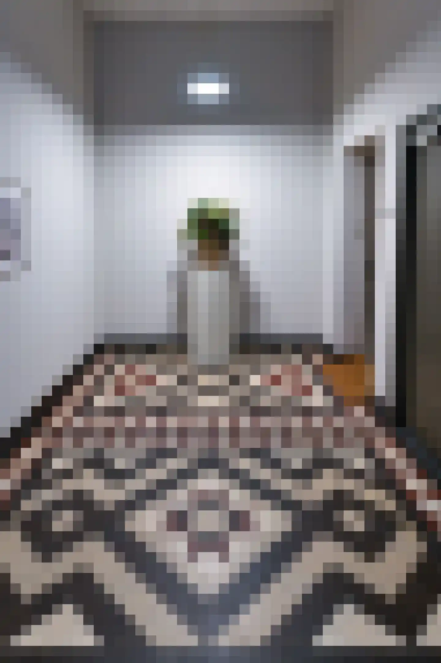 Waterloostraat 208 Steyl thumbnail 8
