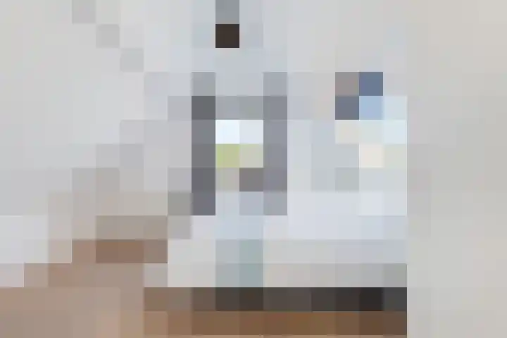 Waterloostraat 209 Rotterdam thumbnail 18