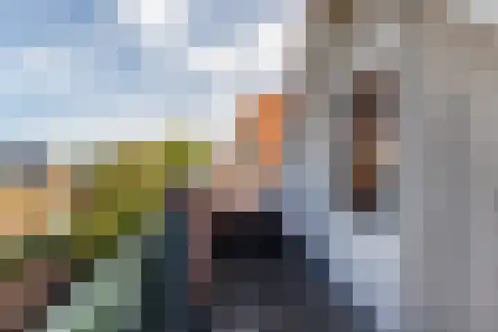 Waterloostraat 209 Rotterdam thumbnail 19