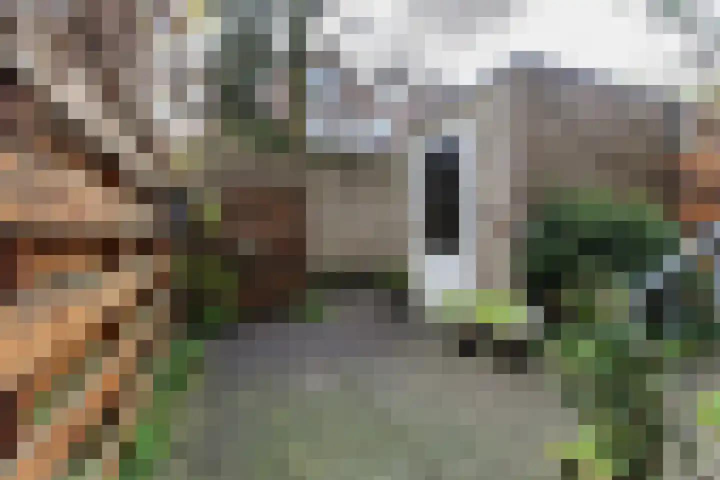 Waterloostraat 227 Rotterdam thumbnail 17