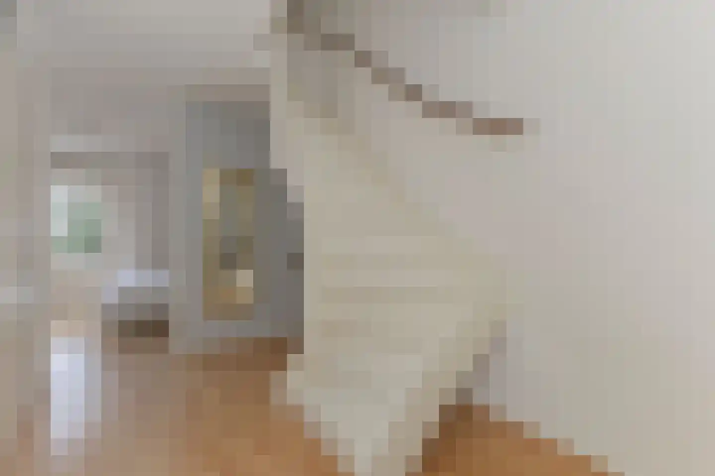 Waterloostraat 227 Rotterdam thumbnail 9
