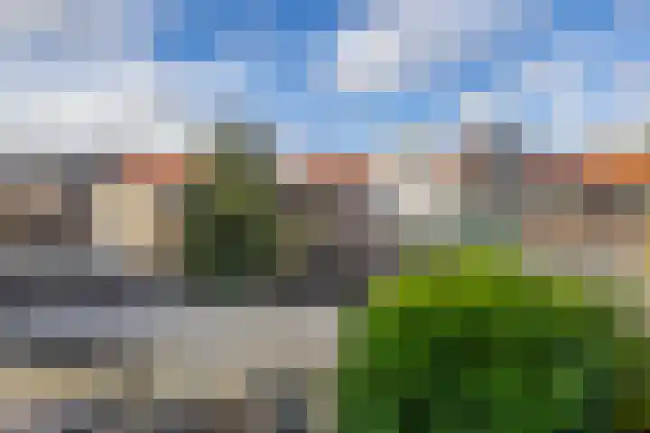 Waterloostraat 3 Capelle aan den IJssel thumbnail 22