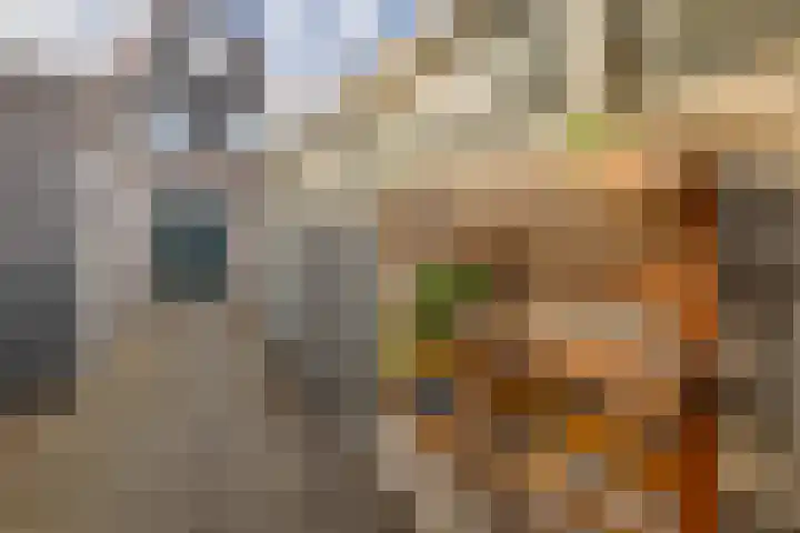 Waterloostraat 3 Capelle aan den IJssel thumbnail 31