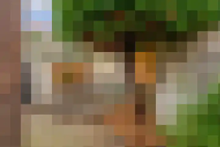Waterloostraat 3 Capelle aan den IJssel thumbnail 33