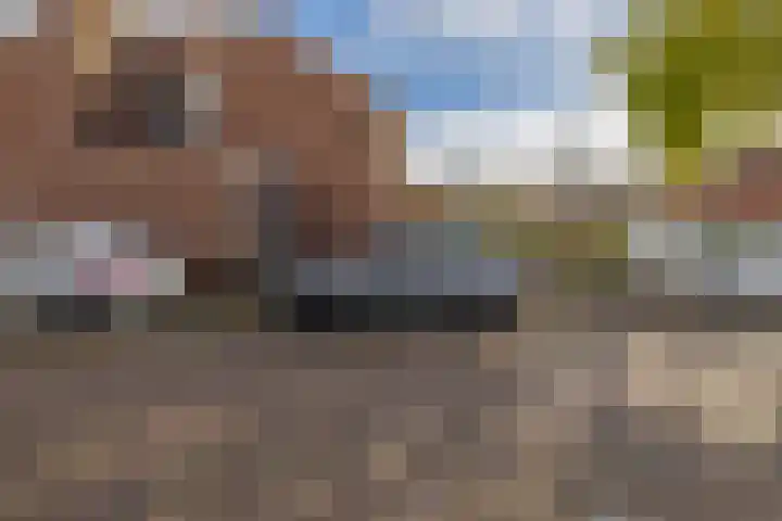 Waterloostraat 3 Capelle aan den IJssel thumbnail 37