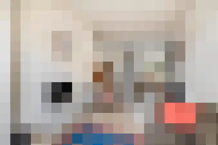 Waterloostraat 3 Capelle aan den IJssel thumbnail 9