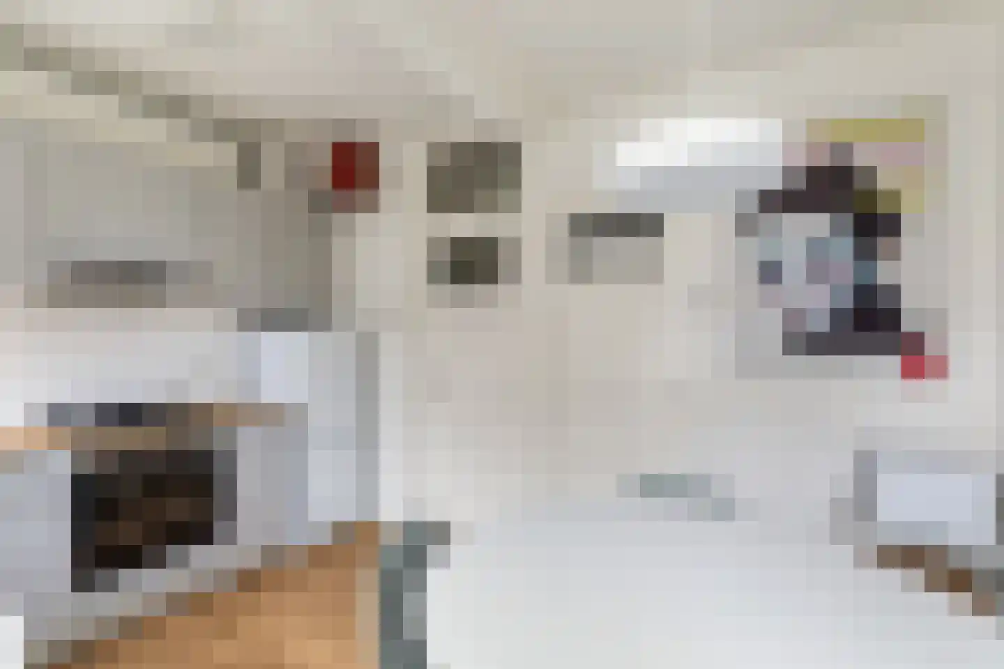 Waterloostraat 43 D Rotterdam thumbnail 10
