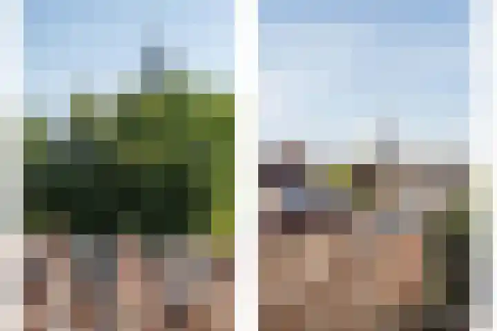 Waterloostraat 43 D Rotterdam thumbnail 4