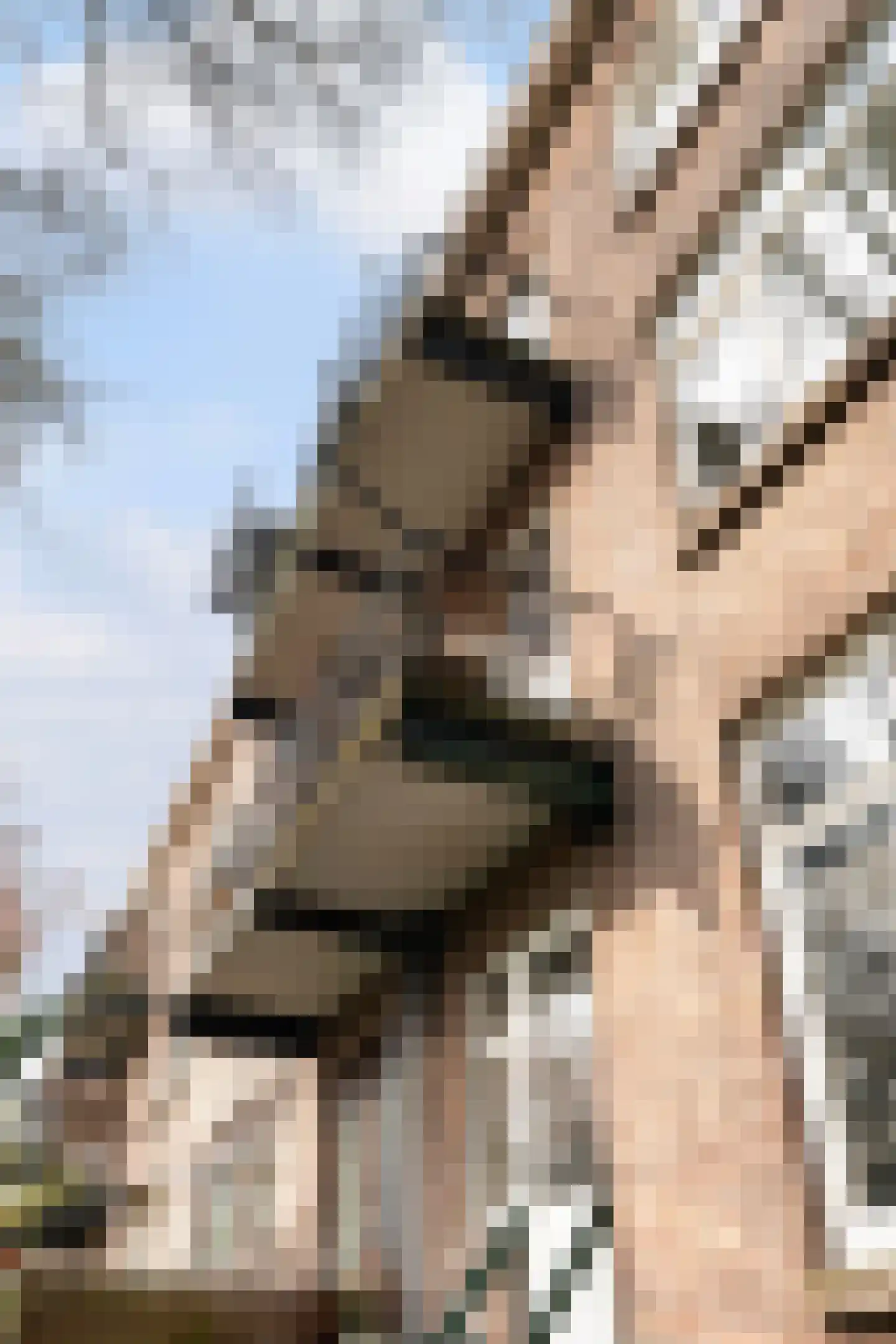 Waterloostraat 44 A Rotterdam thumbnail 41