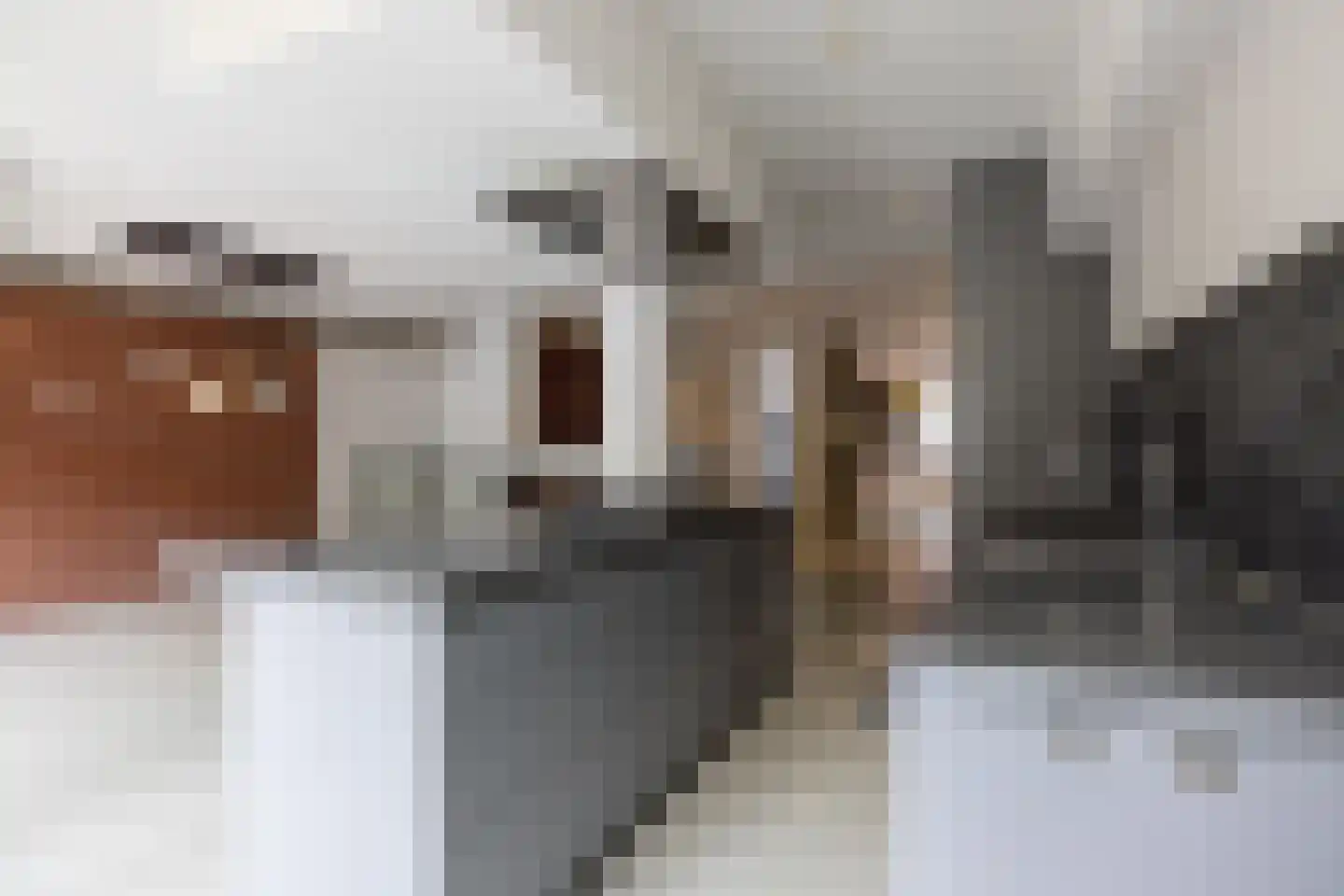 Waterloostraat 63 Rotterdam thumbnail 9