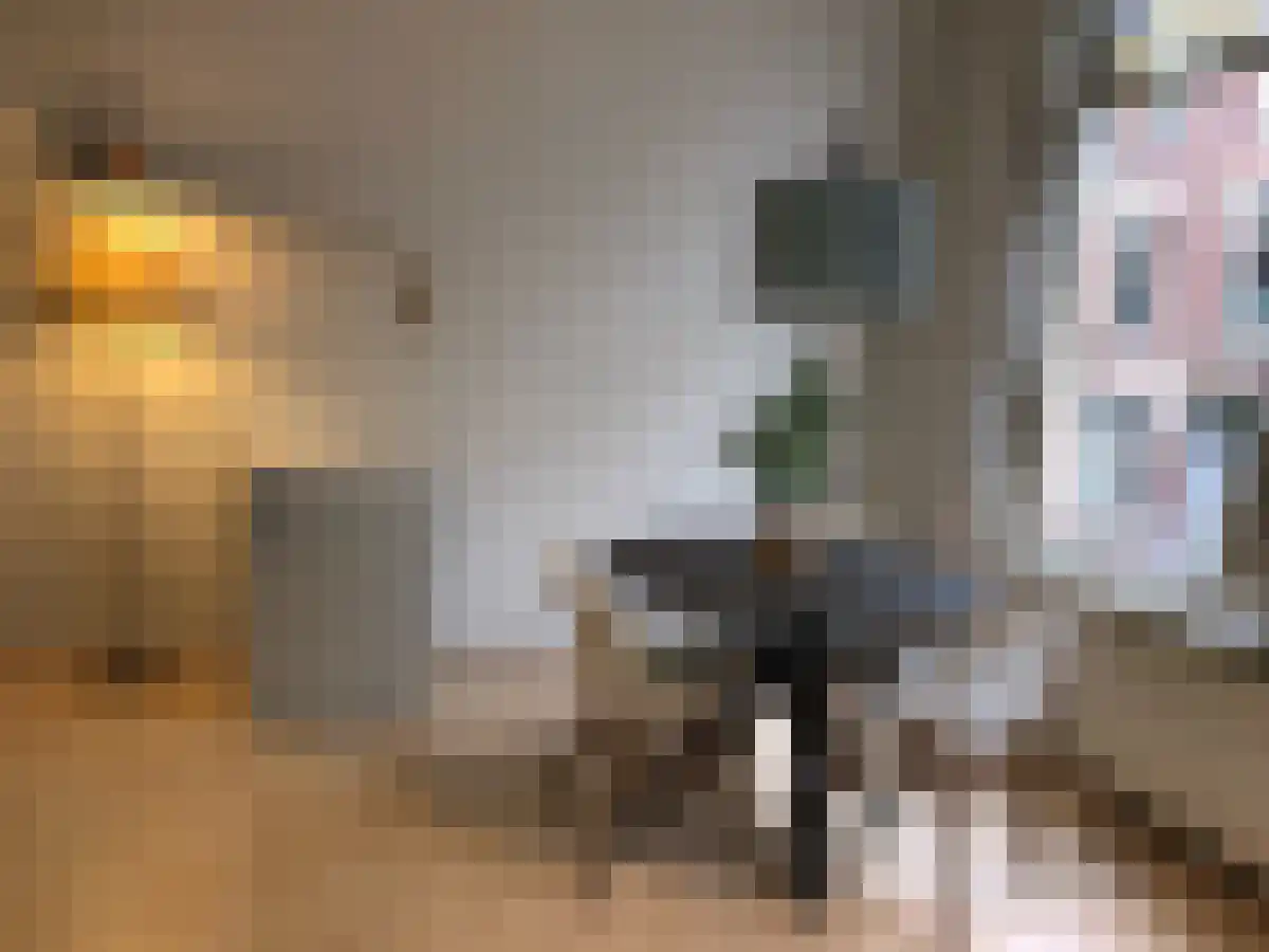 Waterloostraat 70 Rotterdam thumbnail 4