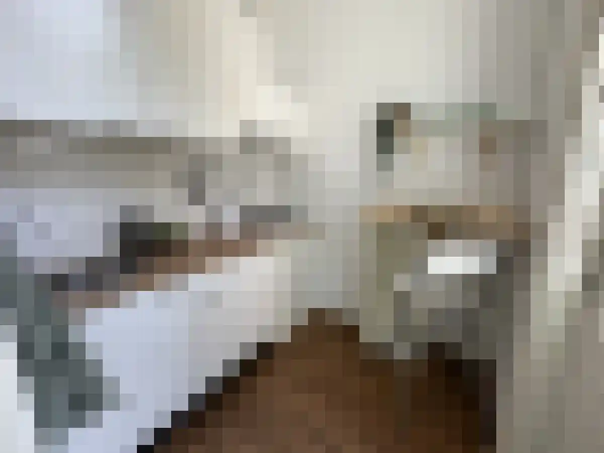 Waterloostraat 70 Rotterdam thumbnail 5