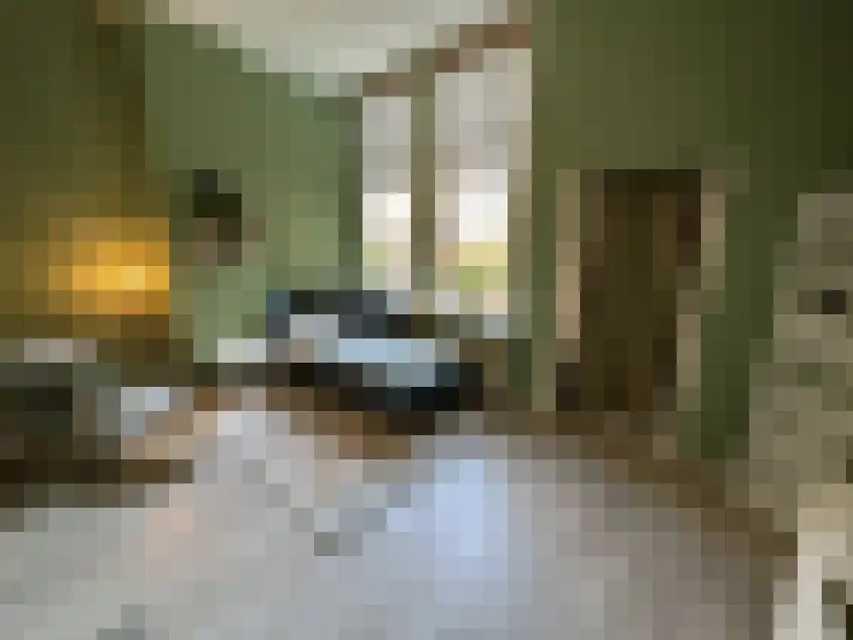 Waterloostraat 72 Rotterdam thumbnail 4