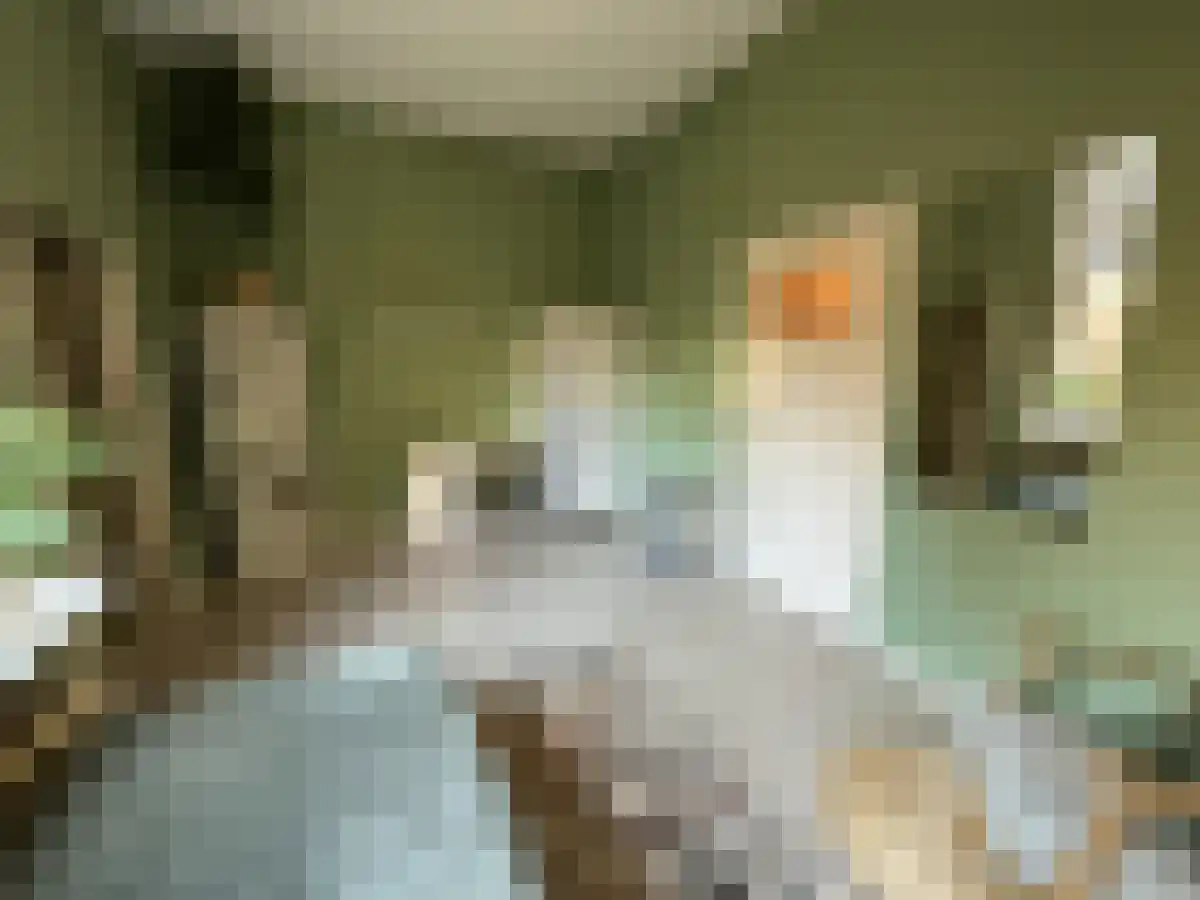 Waterloostraat 72 Rotterdam thumbnail 5