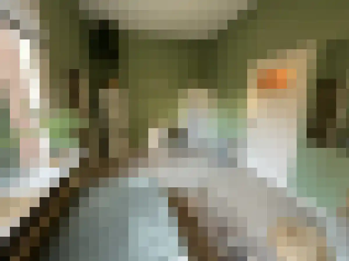 Waterloostraat 72 Rotterdam thumbnail 6