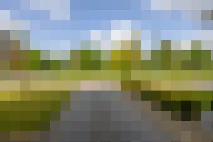 Waterloostraat 90 Steyl thumbnail 31