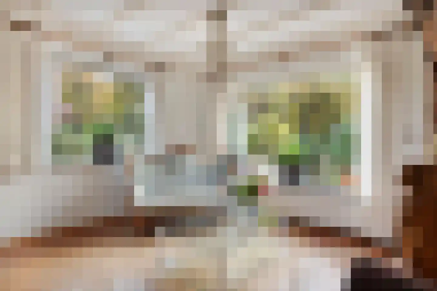 Waterlooweg 13 Austerlitz thumbnail 20